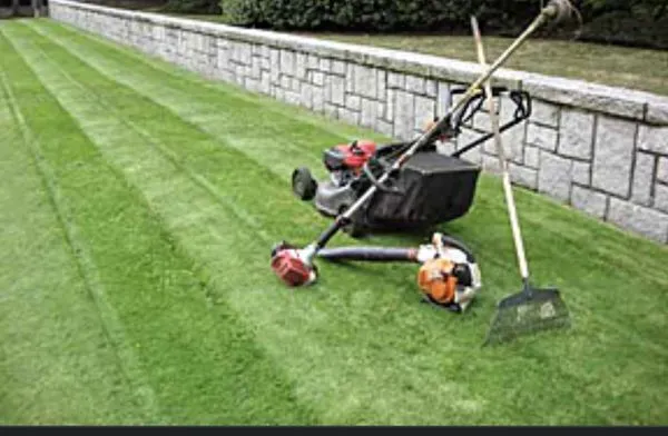 Wilmar landscaping and Yard Services Logo