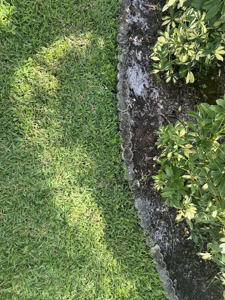 Trusted outdoor landscaping in Palm Springs, FL - Wilmar Landscaping