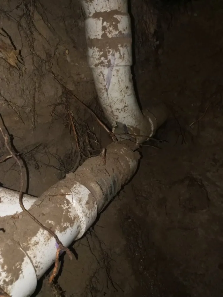 Top-rated garden landscaping experts serving Houston, TX - Wilmer Construction