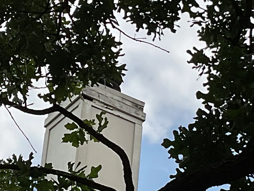 Top-rated garden landscaping for outdoor upgrades across Austin, TX - Wilmer Tree Service