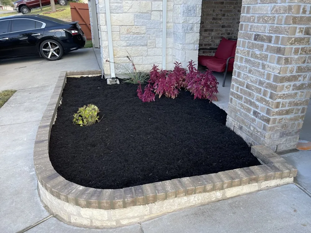 Reliable landscape installation in Austin, TX - Wilmer Tree Service