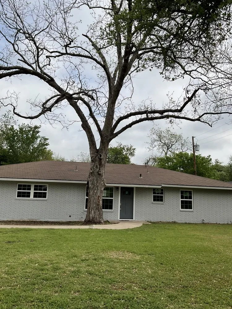 Expert landscape installation in Austin, TX by Wilmer Tree Service