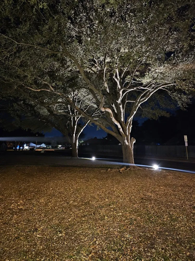 Expert landscaping services for year-round maintenance across Austin, TX - Wilmer Tree Service