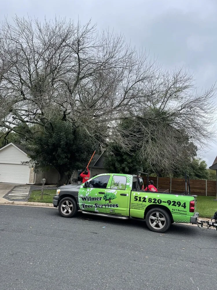 Custom yard cleanup service experts serving Austin, TX - Wilmer Tree Service