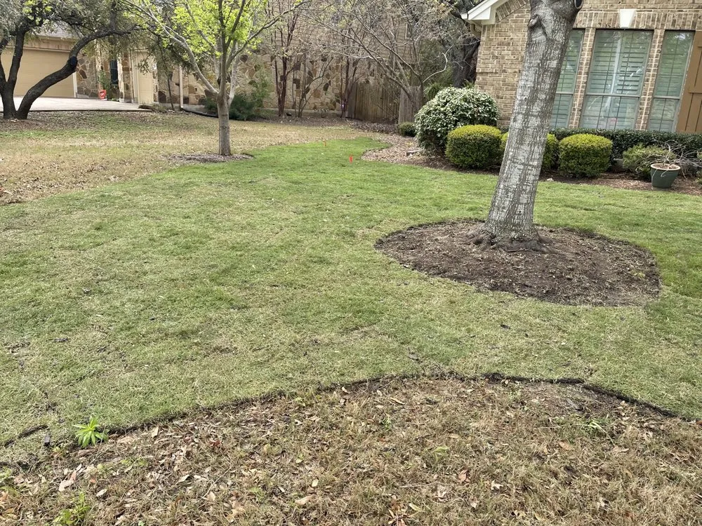 Top-rated outdoor landscaping near you in Austin, TX by Wilmer Tree Service