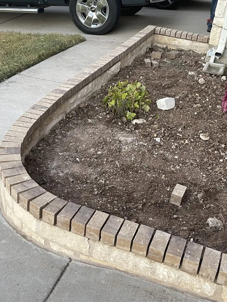 Affordable landscape installation in Austin, TX - Wilmer Tree Service