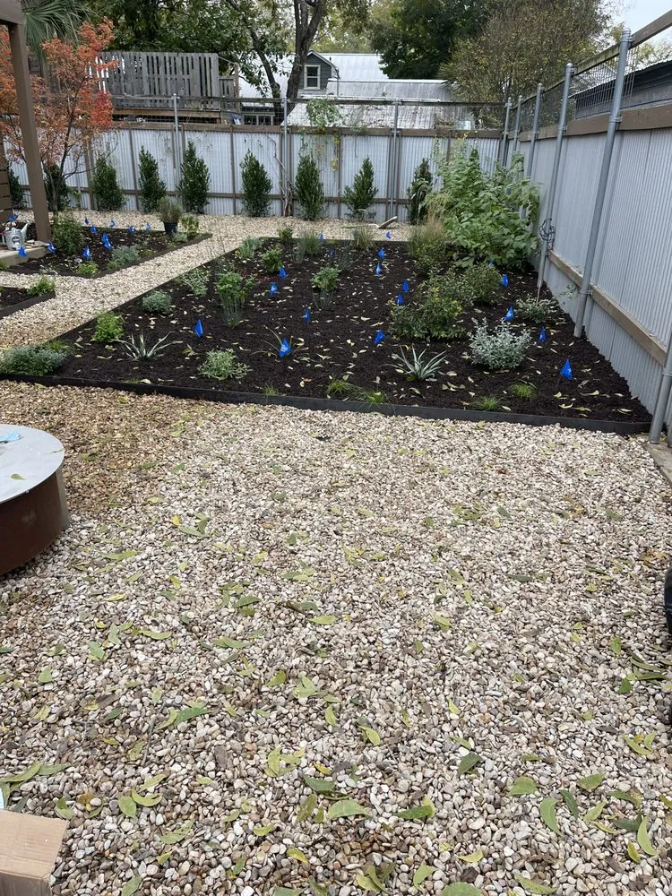 Reliable yard cleanup service near you across Austin, TX - Wilmer Tree Service