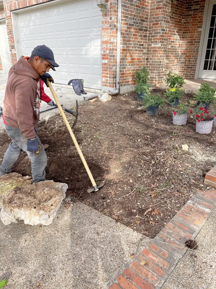 Reliable residential landscaping in Austin, TX - Wilmer Tree Service