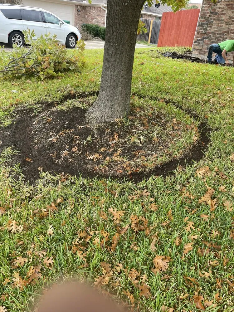 Custom outdoor landscaping in Austin, TX by Wilmer Tree Service