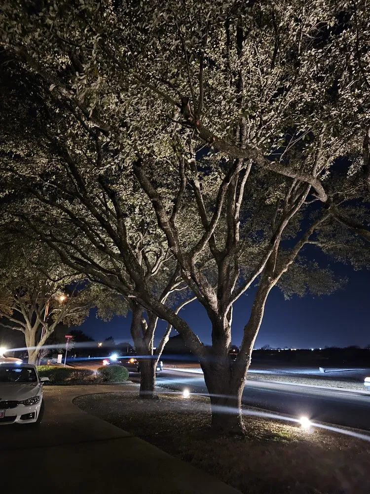 Professional lawn mowing service for beautiful yards across Austin, TX - Wilmer Tree Service