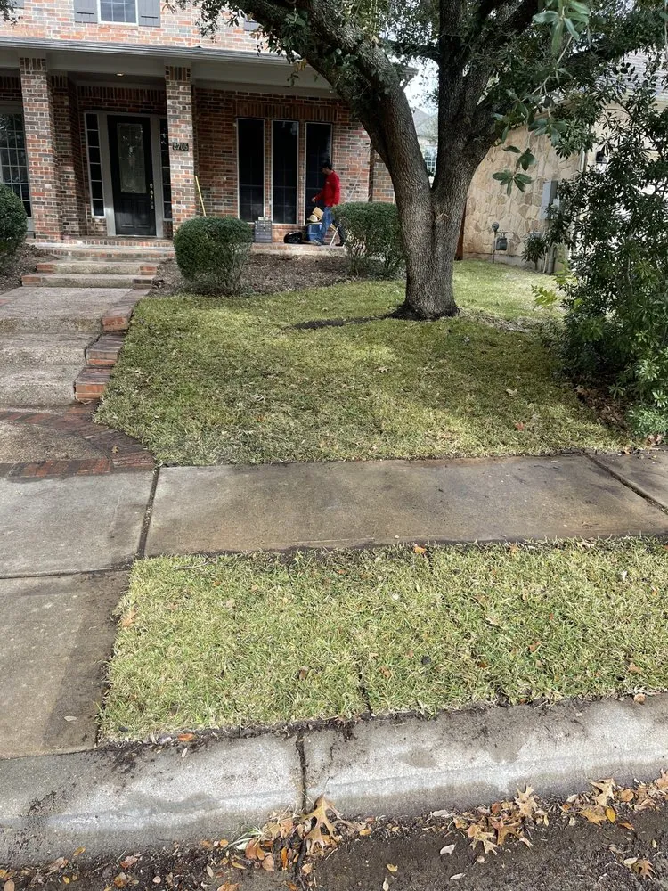 Custom yard cleanup service in Austin, TX by Wilmer Tree Service