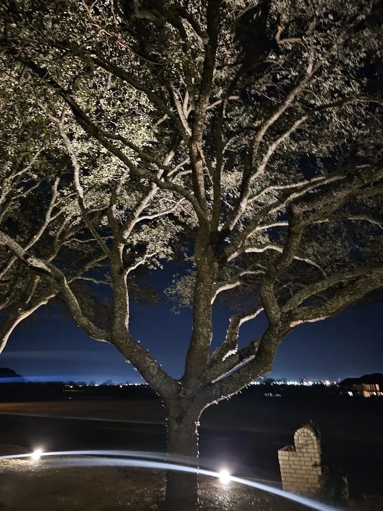 Professional lawn care service for year-round maintenance across Austin, TX - Wilmer Tree Service