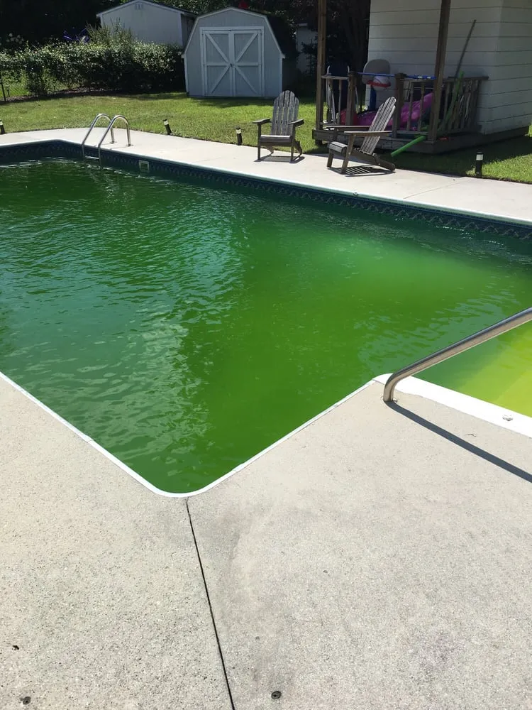 Local yard cleanup service for year-round maintenance across Wilmington, NC - Wilmington Pools