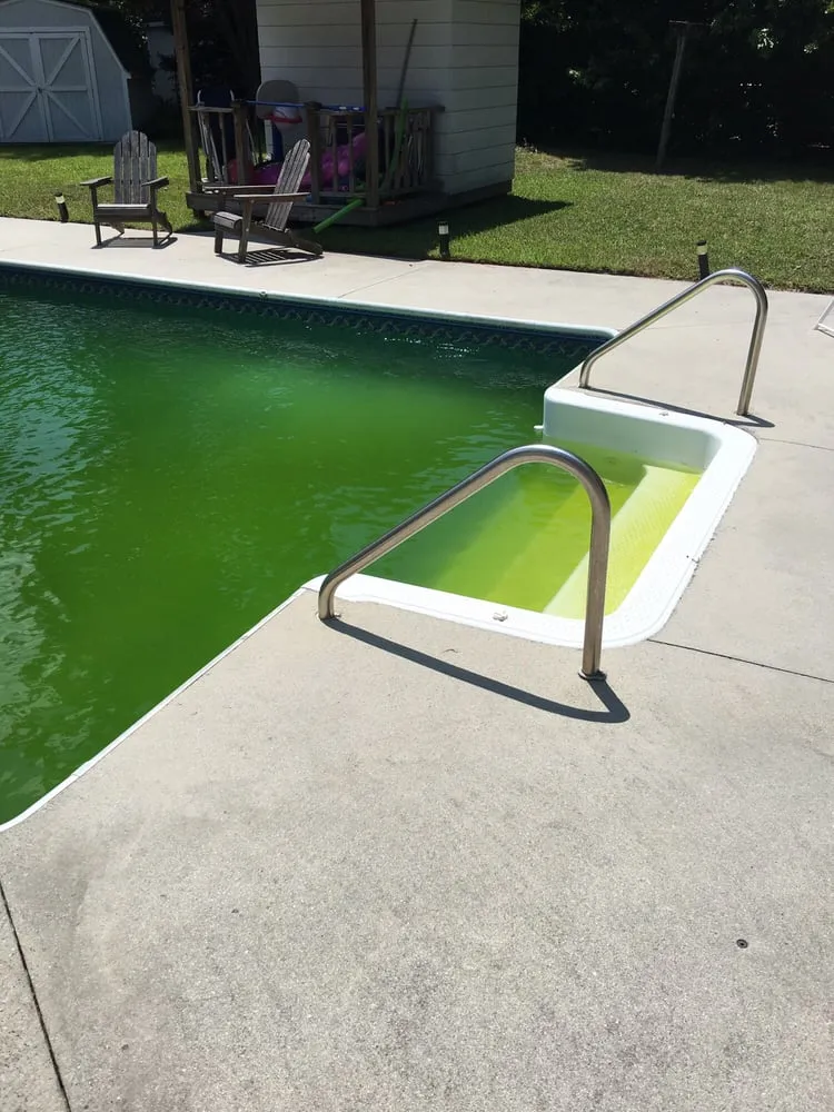 Local landscaping services experts serving Wilmington, NC - Wilmington Pools