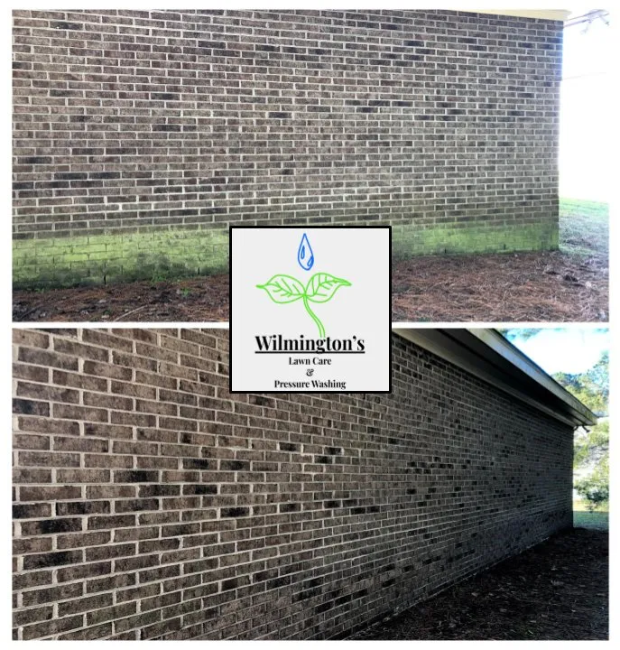 Affordable yard cleanup service for beautiful yards across Rocky Point, NC - Wilmington's Hardscape & Design