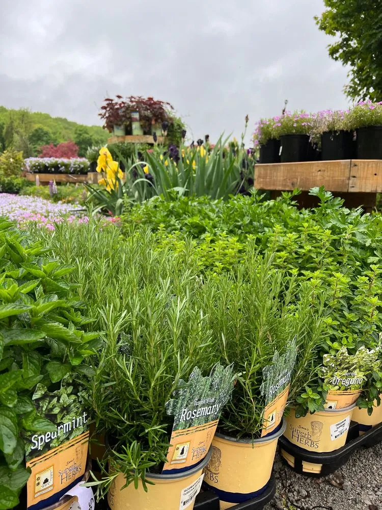 Affordable residential landscaping in Warwick, RI by Wilscape