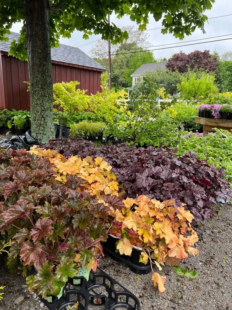 Top-rated landscaping services in Warwick, RI - Wilscape