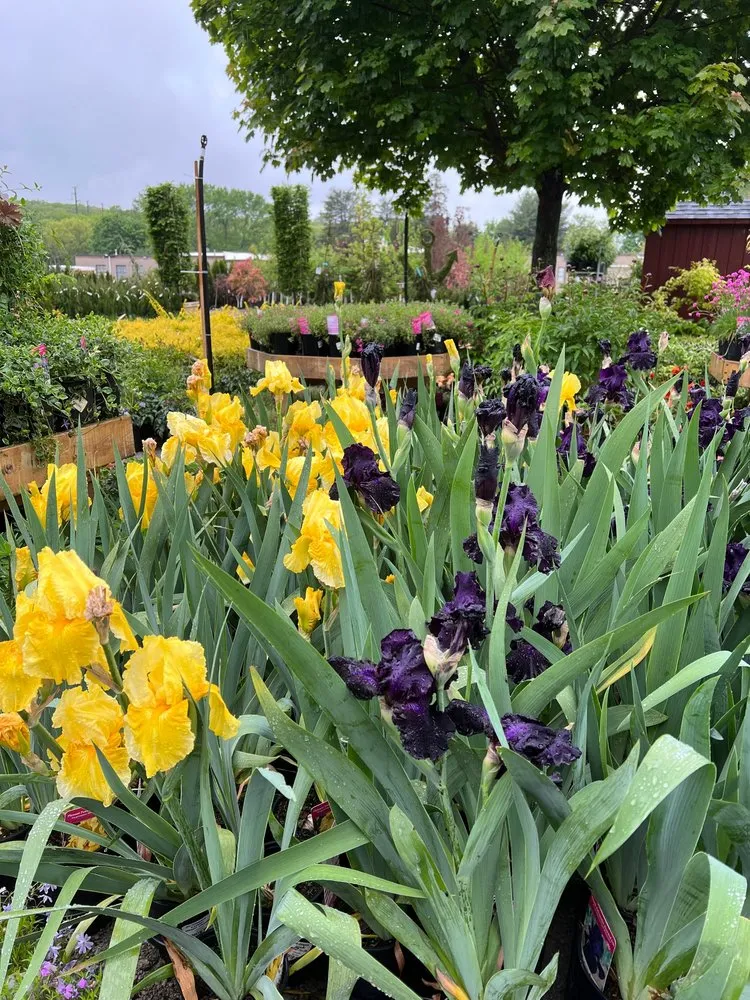 Local garden landscaping experts serving Warwick, RI - Wilscape