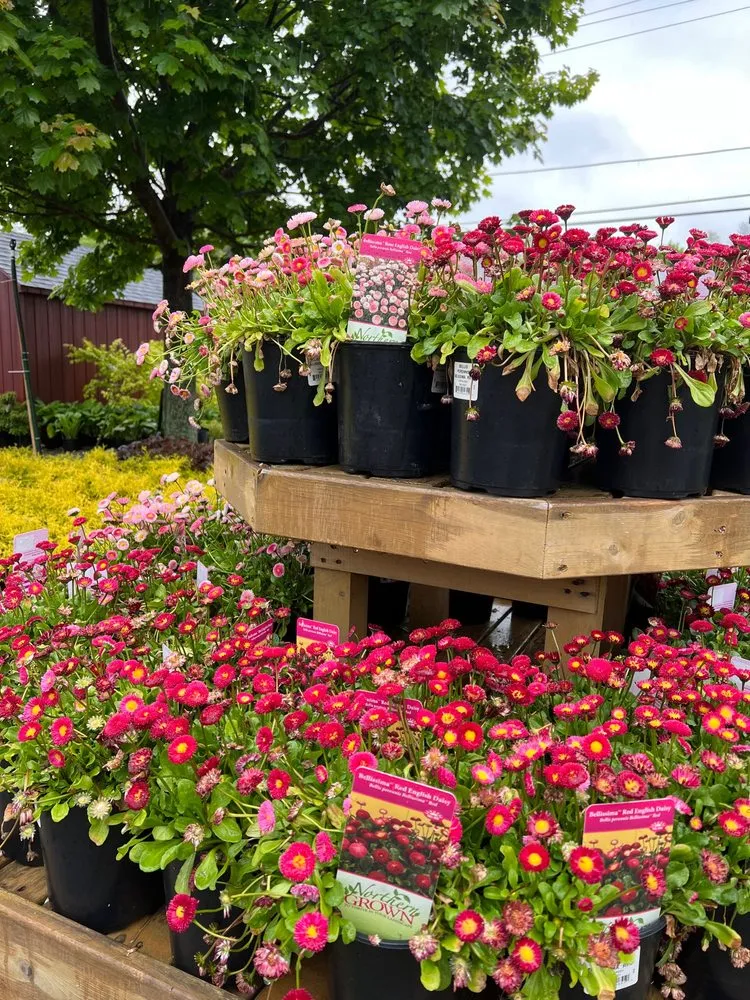 Reliable garden landscaping in Warwick, RI by Wilscape