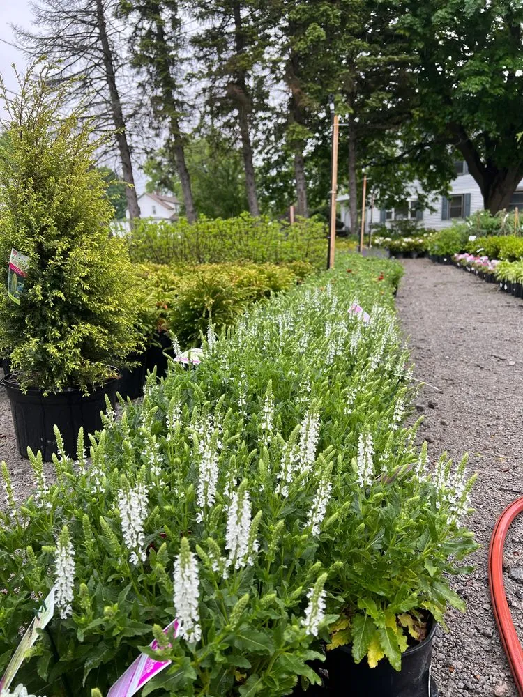 Top-rated landscape installation with custom design in Warwick, RI by Wilscape