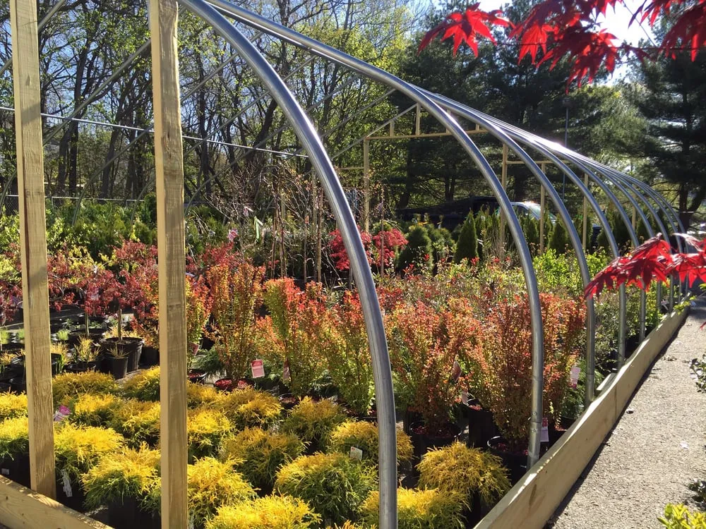 Professional lawn mowing service in Warwick, RI by Wilscape