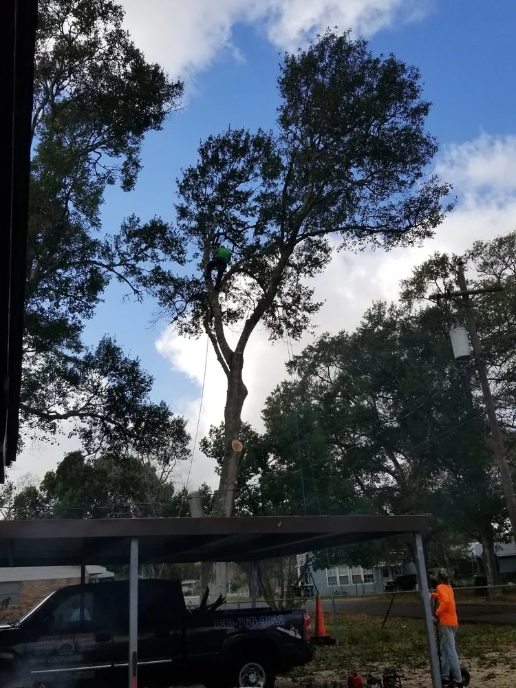 Affordable yard maintenance for outdoor upgrades in Sealy, TX by Wilson & Sons Lawncare