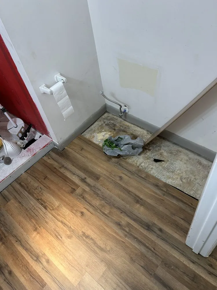 Affordable outdoor landscaping in Saint Helena Island, SC - Wilson & Sons Special Trade Contractors