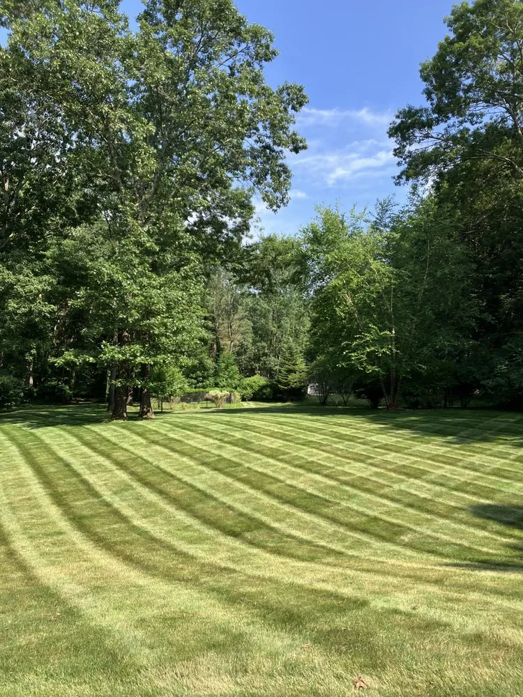 Expert landscaping services for year-round maintenance in Hudson, MA by Wilson & Wilson