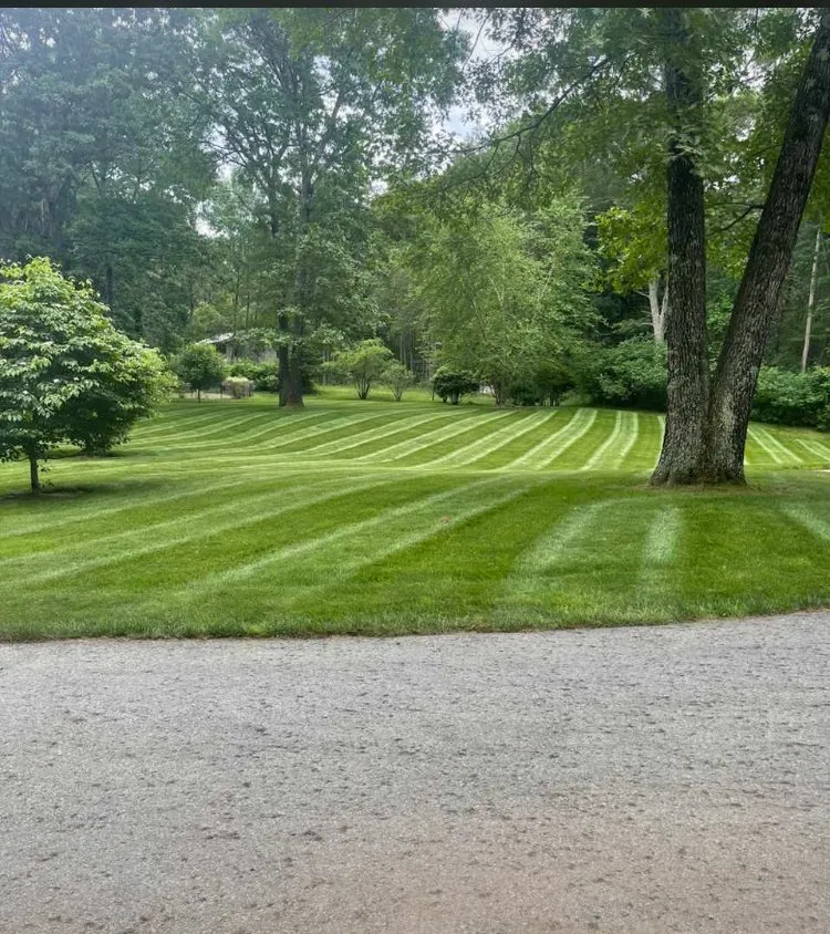 Professional garden landscaping experts serving Hudson, MA - Wilson & Wilson