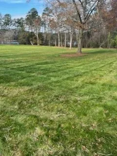 Custom lawn care service in Lula, GA by Wilson And Sons Lawn Care