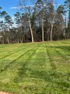 Affordable yard maintenance experts serving Lula, GA - Wilson And Sons Lawn Care