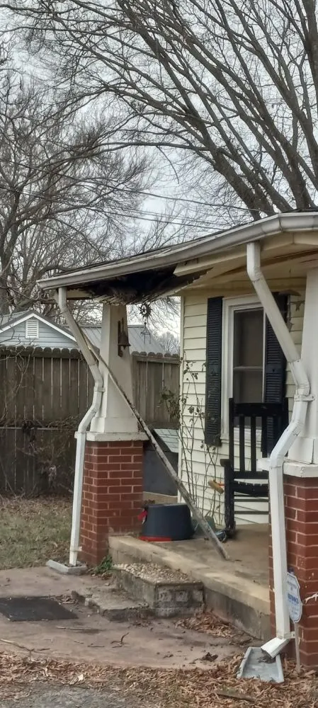 Reliable lawn mowing service for homes in Eden, NC by Wilson and Son's Property Maintenance