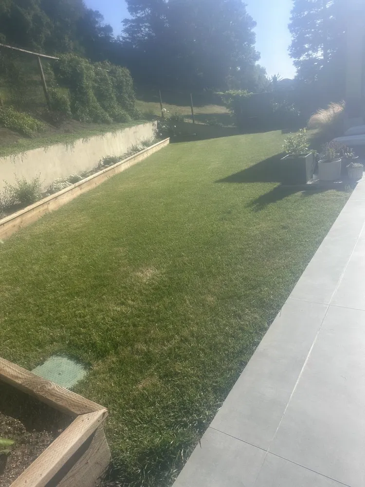 Top-rated landscape design experts serving Novato, CA - Wilso’n Construction and Landscape