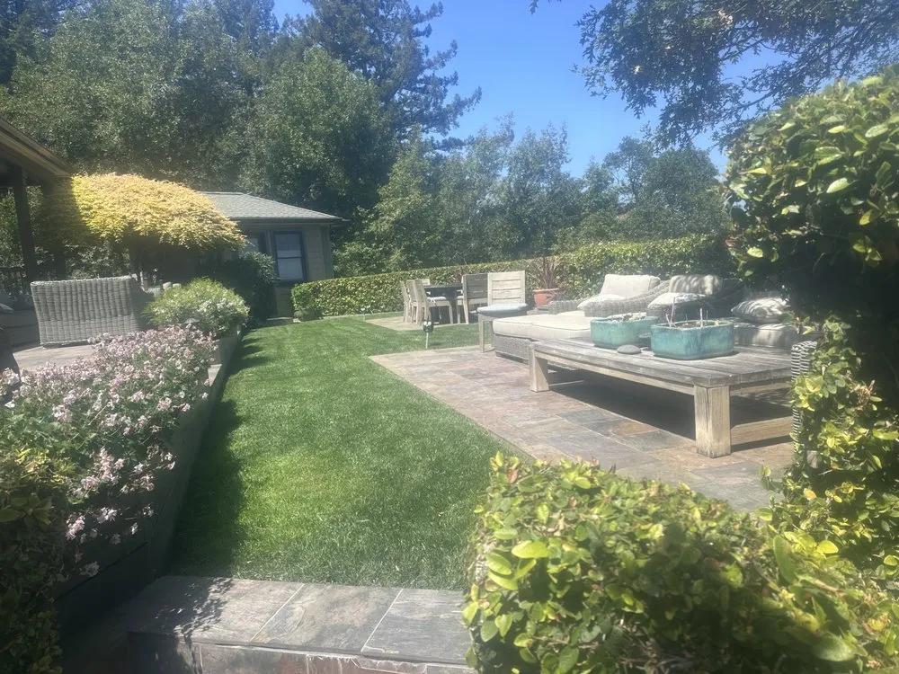 Trusted lawn mowing service in Novato, CA by Wilso’n Construction and Landscape