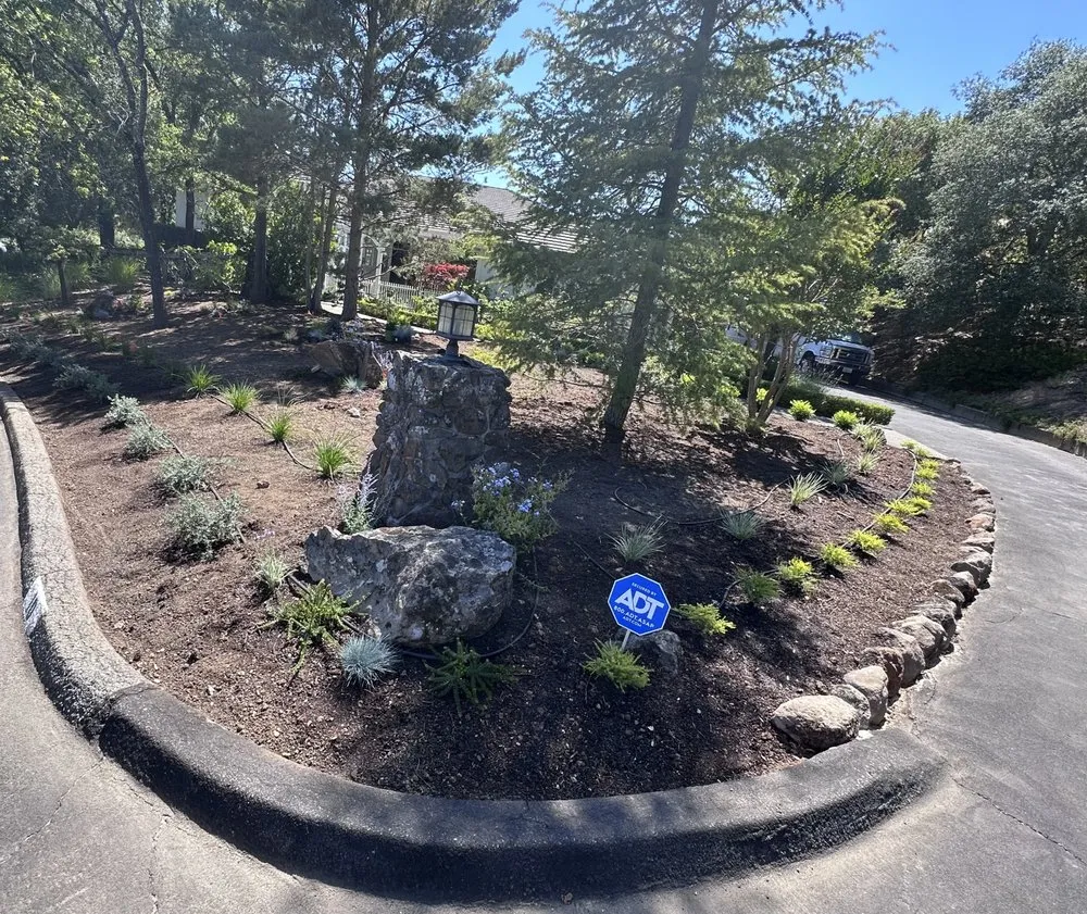 Reliable landscape design in Novato, CA - Wilso’n Construction and Landscape