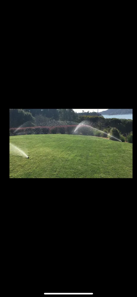 Local garden landscaping experts serving Novato, CA - Wilso’n Construction and Landscape