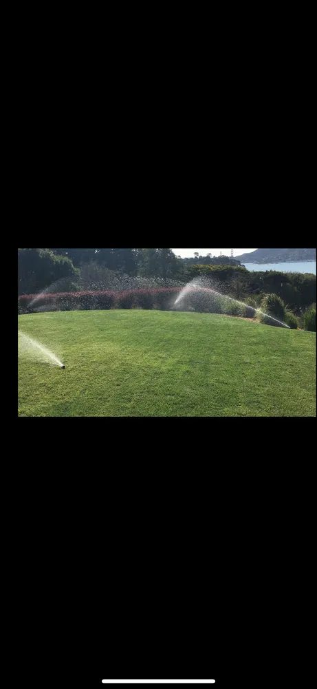 Trusted landscape design in Novato, CA - Wilso’n Construction and Landscape