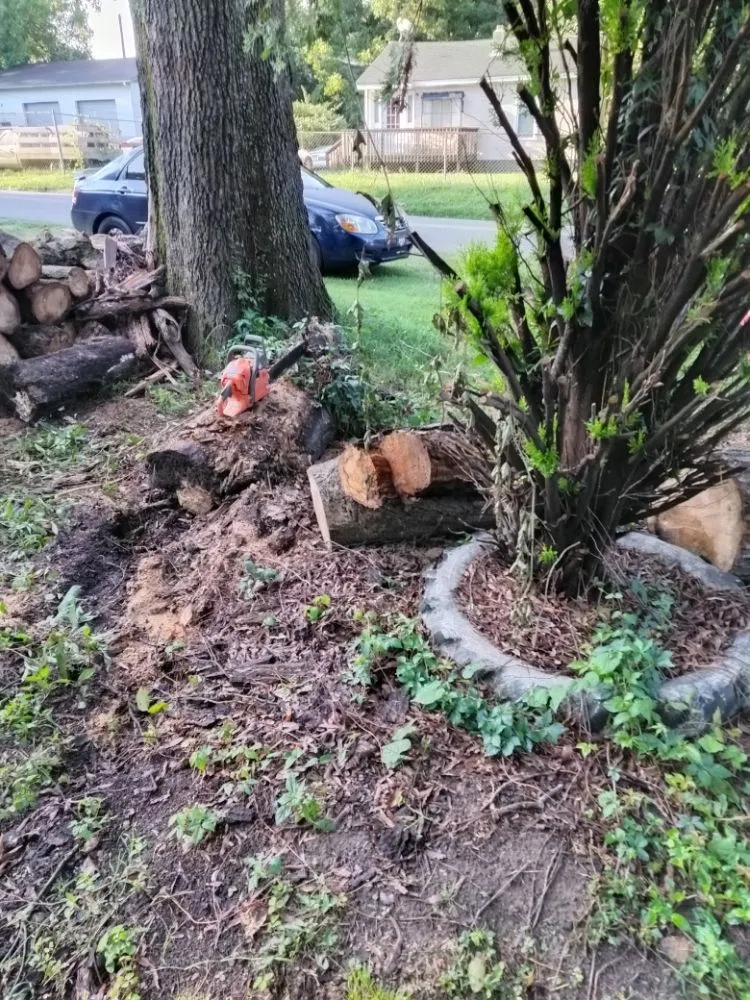 Expert residential landscaping experts serving Troutman, NC - Wilson Contracting