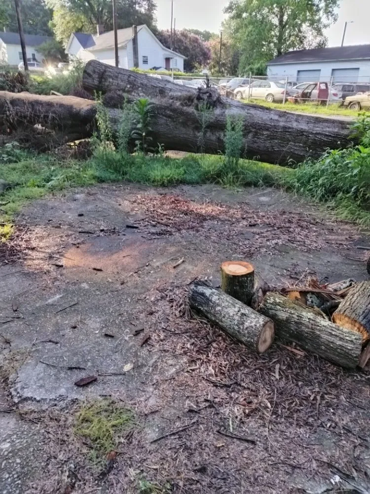 Top-rated landscaping services for year-round maintenance in Troutman, NC by Wilson Contracting