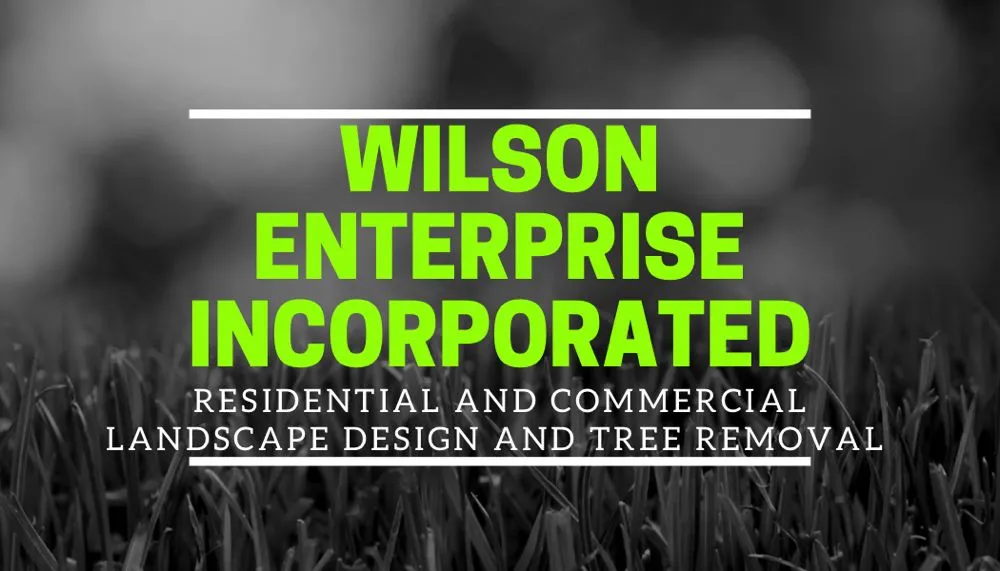 Affordable lawn care service in Cookeville, TN by Wilson Enterprise