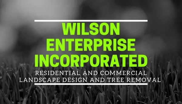 Wilson Enterprise Logo
