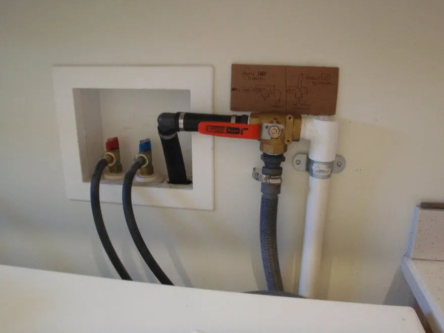 Trusted yard cleanup service in Santa Barbara, CA - Wilson Environmental Contracting