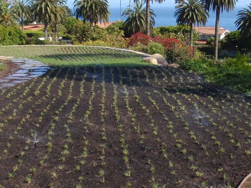 Top-rated lawn care service near you in Santa Barbara, CA by Wilson Environmental Contracting