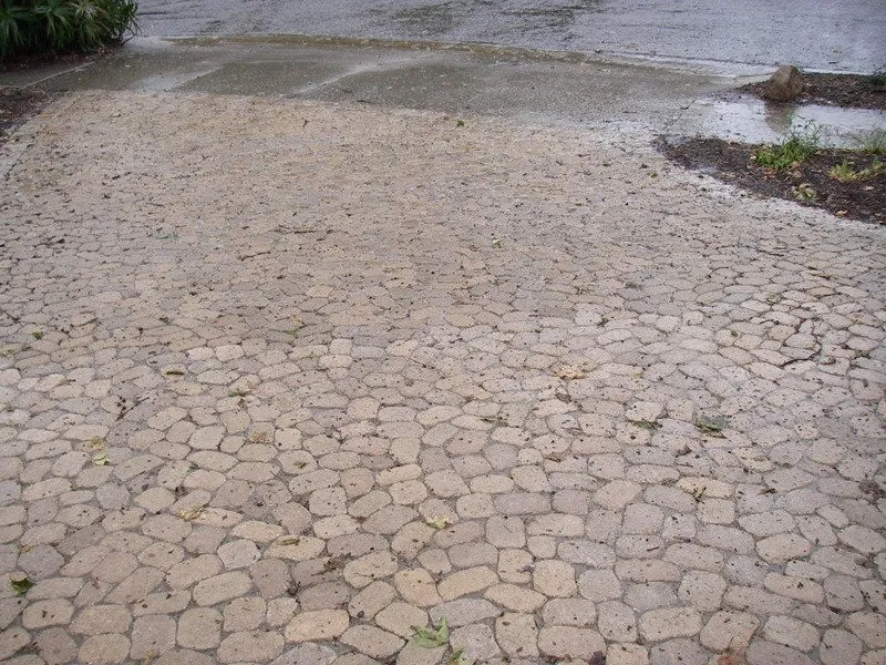 Local residential landscaping for beautiful yards across Santa Barbara, CA - Wilson Environmental Contracting