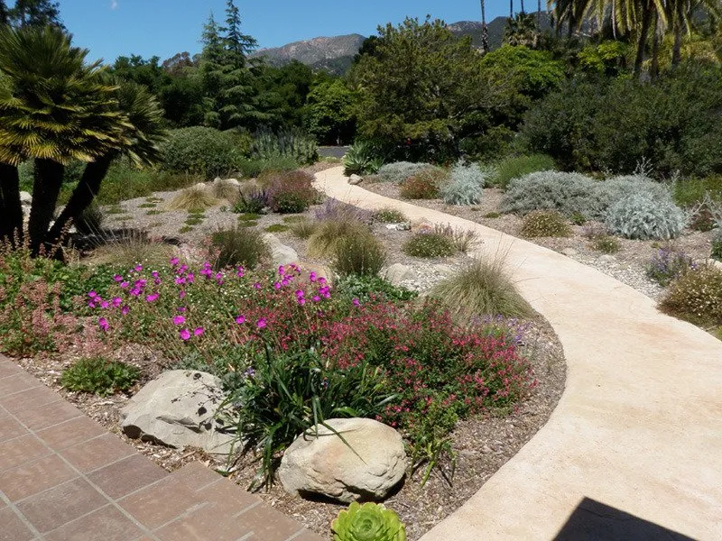 Professional residential landscaping experts serving Santa Barbara, CA - Wilson Environmental Contracting
