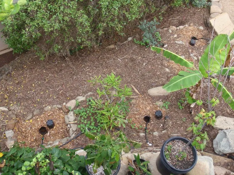 Affordable yard maintenance near you in Santa Barbara, CA by Wilson Environmental Contracting