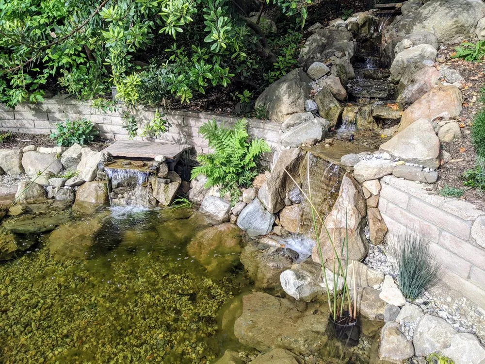 Professional landscape installation for beautiful yards across Santa Barbara, CA - Wilson Environmental Contracting