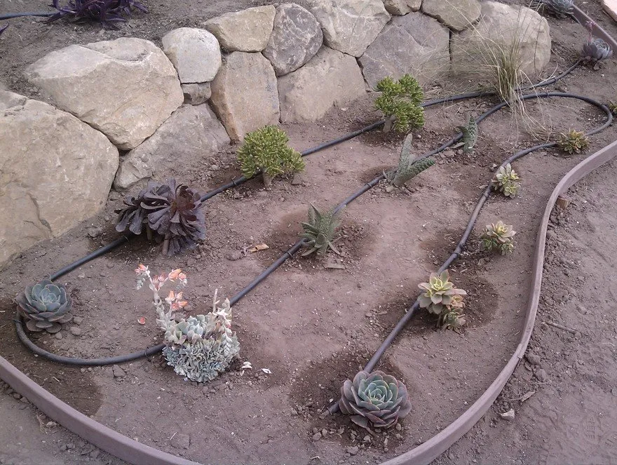Reliable landscaping services for homes across Santa Barbara, CA - Wilson Environmental Contracting