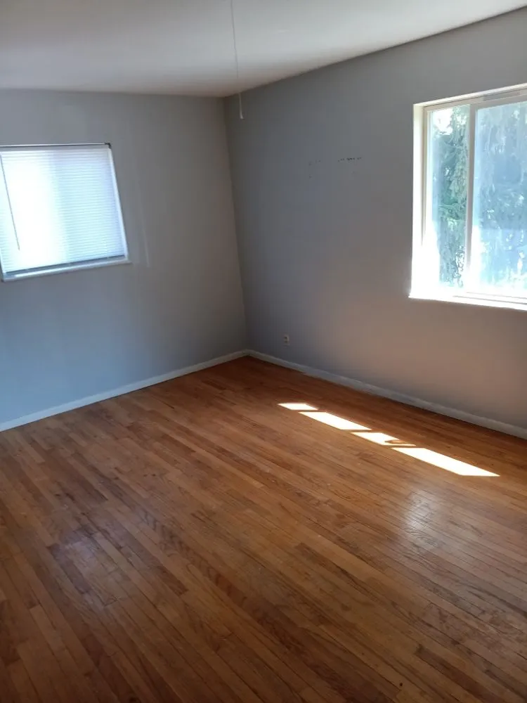 Expert yard cleanup service in Urbana, IL by Wilson Family Landscaping