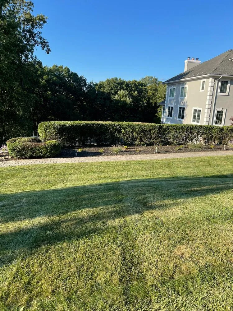 Local yard maintenance for residential properties in Hackensack, NJ by Wilson Home Improvement & Landscape